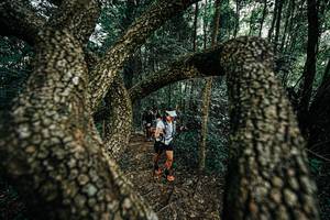 BIB: 
                            <button type="button" onclick="openModal(25392722)" class="btn btn-primary btn-sm float-right btn-popup" data-toggle="modal" data-target=".modal-high-quality">
                        <i class="fas fa-shopping-cart"></i> Add to Cart
                    </button>
                                            <button type="button" onclick="isThisMe(25392722, true)" class="btn btn-success btn-sm float-right btn-popup btn-isme hidden" data-toggle="tooltip" data-placement="bottom" title="นี่คือรูปของคุณใช่ไหม คลิกที่นี่เพื่อเอาเข้าอัลบั้ม">
                        <i class="fas fa-plus"></i> Add to album
                    </button>
                    <button type="button" onclick="isThisMe(25392722, false)" class="btn btn-warning btn-sm float-right btn-popup btn-isnotme hidden">
                        <i class="fas fa-ban"></i> Remove from album
                    </button>